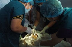 醫(yī)療技術(shù)