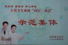 全省衛(wèi)生系統(tǒng)兩好一