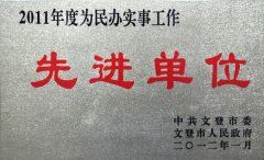 2011年度為民辦實(shí)事單